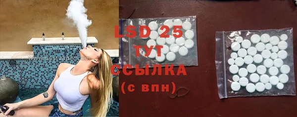 ПСИЛОЦИБИНОВЫЕ ГРИБЫ Вяземский
