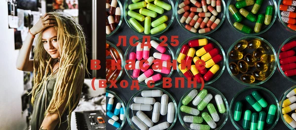 ПСИЛОЦИБИНОВЫЕ ГРИБЫ Вяземский