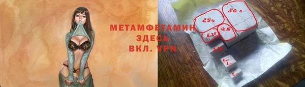 ПСИЛОЦИБИНОВЫЕ ГРИБЫ Вяземский