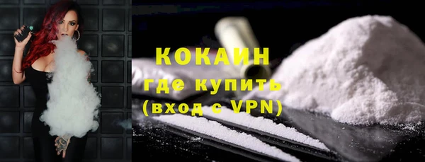 ПСИЛОЦИБИНОВЫЕ ГРИБЫ Вяземский