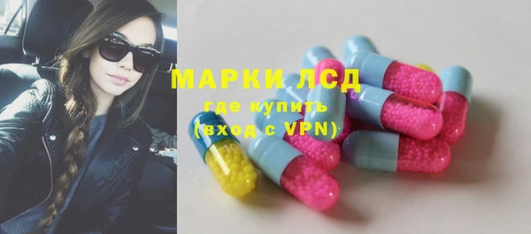 ПСИЛОЦИБИНОВЫЕ ГРИБЫ Вяземский