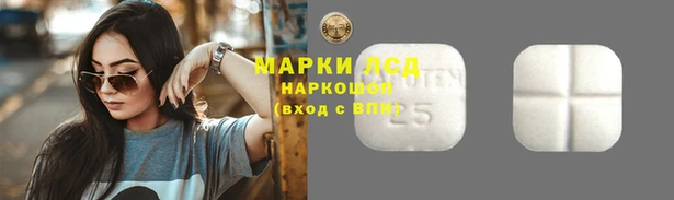 spice Вязники