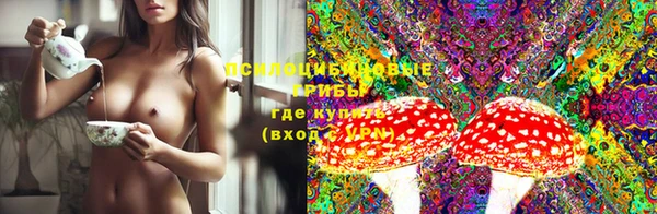spice Вязники