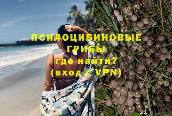 ПСИЛОЦИБИНОВЫЕ ГРИБЫ Вяземский