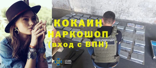 ПСИЛОЦИБИНОВЫЕ ГРИБЫ Вяземский