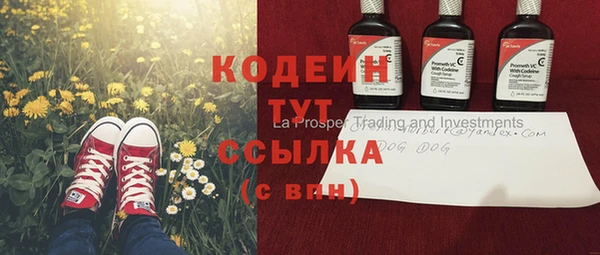 ПСИЛОЦИБИНОВЫЕ ГРИБЫ Вяземский
