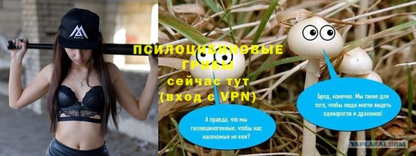 spice Вязники