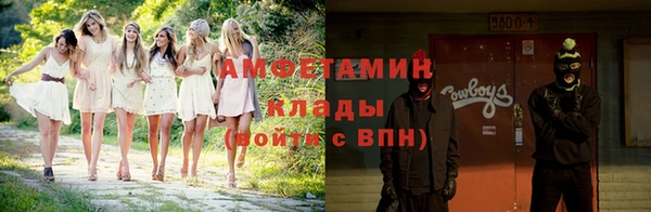 ПСИЛОЦИБИНОВЫЕ ГРИБЫ Вяземский