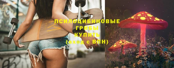 spice Вязники
